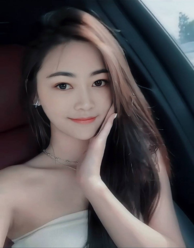 成全视频高清观看,免费在线观看